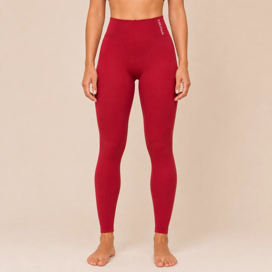 Crimson Ascend Form Leggings 1254